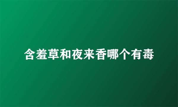 含羞草和夜来香哪个有毒