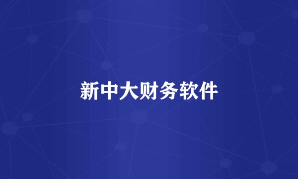 新中大财务软件