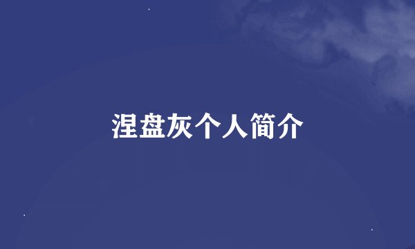 涅盘灰个人简介