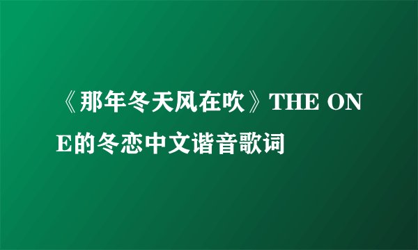 《那年冬天风在吹》THE ONE的冬恋中文谐音歌词