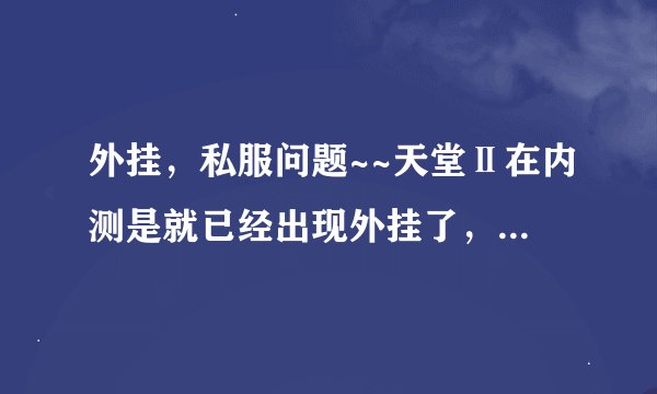 外挂，私服问题~~天堂Ⅱ在内测是就已经出现外挂了，而且私服也已经