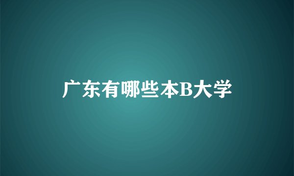 广东有哪些本B大学