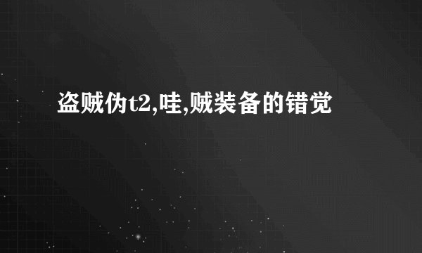 盗贼伪t2,哇,贼装备的错觉