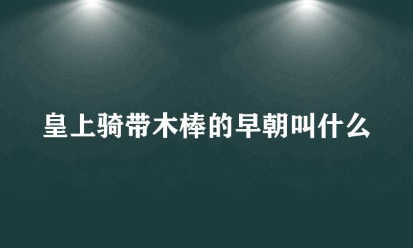 皇上骑带木棒的早朝叫什么