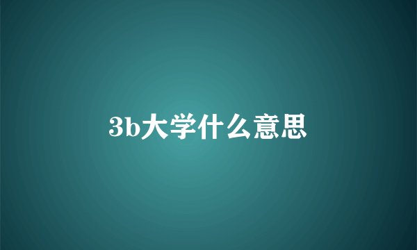 3b大学什么意思