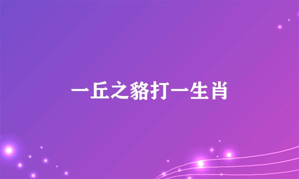 一丘之貉打一生肖