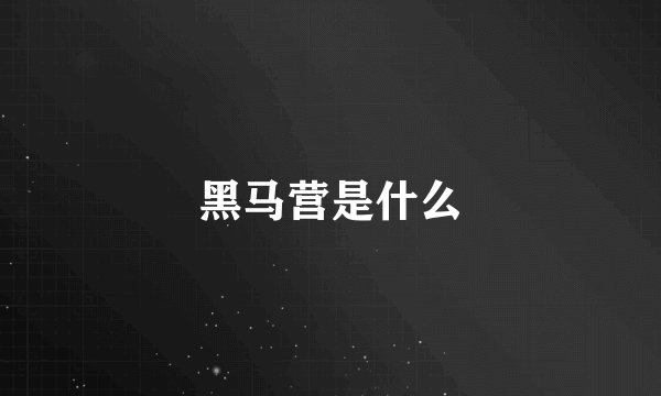 黑马营是什么
