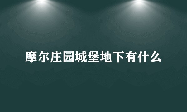 摩尔庄园城堡地下有什么