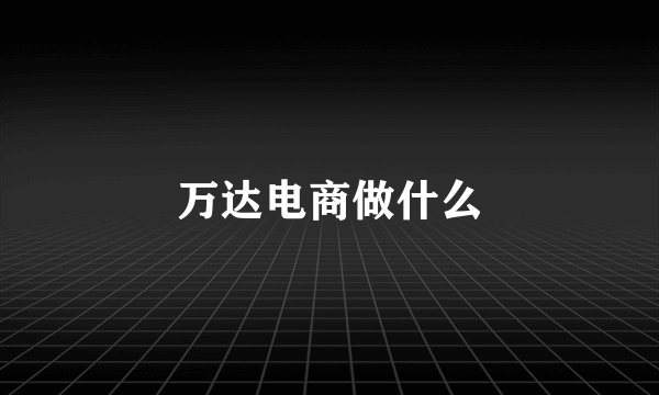 万达电商做什么