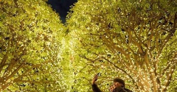 日本入境新规让旅游业者左右为难 这是咋情况？