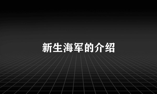 新生海军的介绍