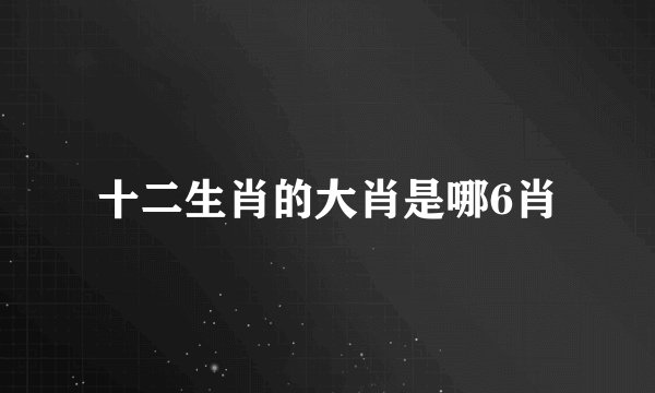 十二生肖的大肖是哪6肖