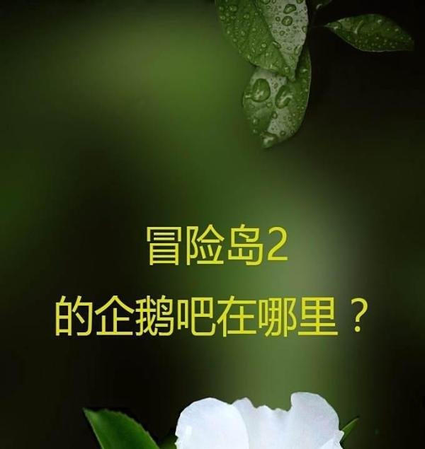 冒险岛2的企鹅吧在哪里？