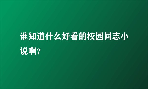 谁知道什么好看的校园同志小说啊？