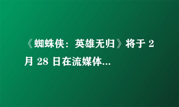 《蜘蛛侠：英雄无归》将于 2 月 28 日在流媒体平台上线，对此你有什么想说的？