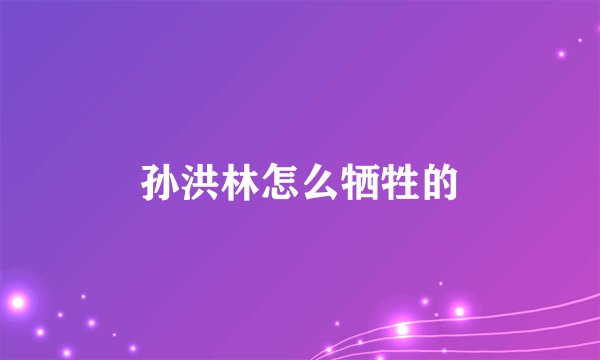 孙洪林怎么牺牲的