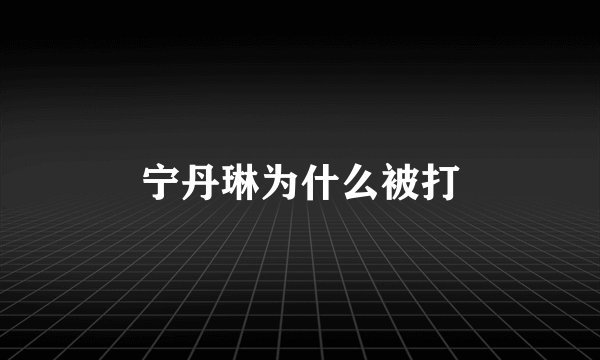 宁丹琳为什么被打
