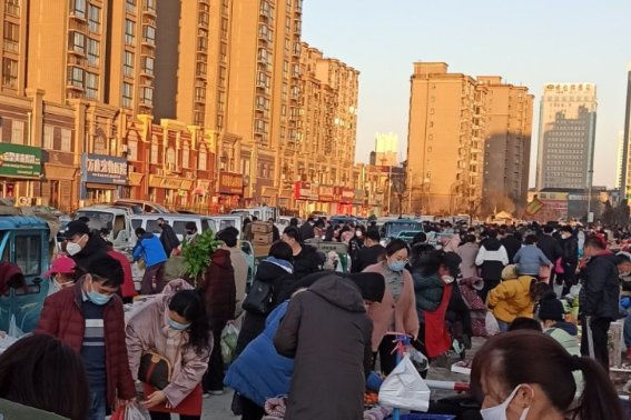 云趋鹜赴的意思
