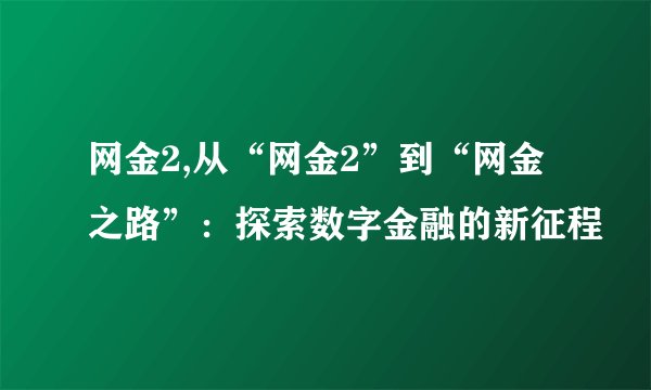 网金2,从“网金2”到“网金之路”：探索数字金融的新征程