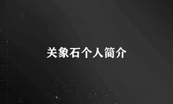 关象石个人简介