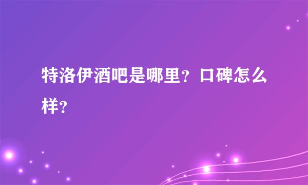 特洛伊酒吧是哪里？口碑怎么样？