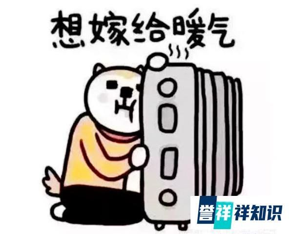 #部分南方城市现集中供暖#明装暖气，南方人的小确幸