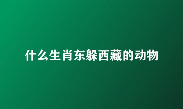什么生肖东躲西藏的动物