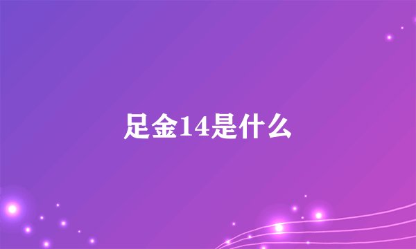 足金14是什么