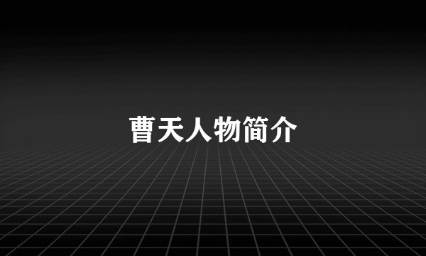 曹天人物简介