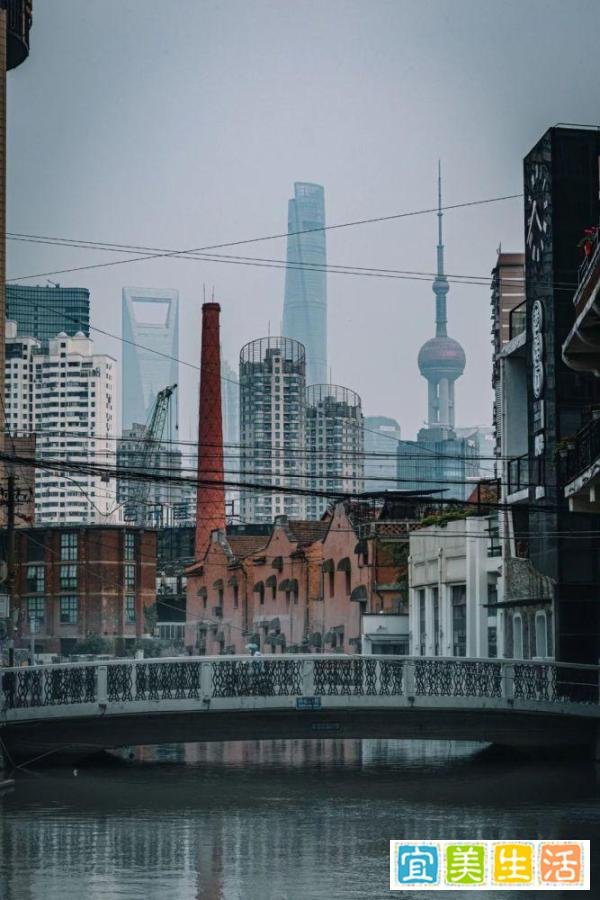 上海解封第一天，最想做的事情是什么？