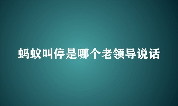 蚂蚁叫停是哪个老领导说话