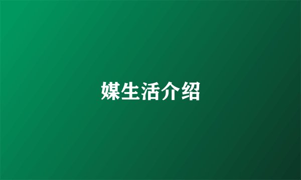 媒生活介绍
