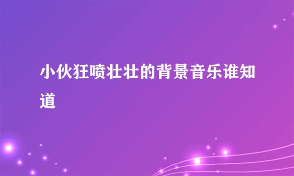 小伙狂喷壮壮的背景音乐谁知道