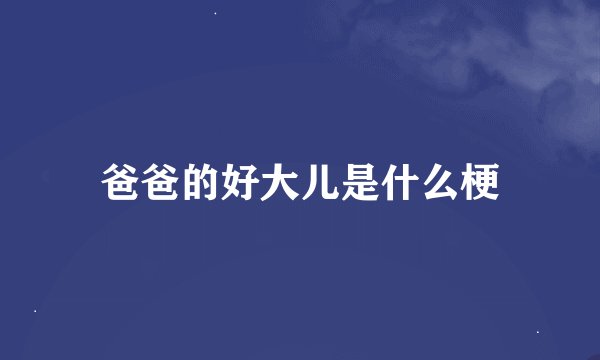 爸爸的好大儿是什么梗