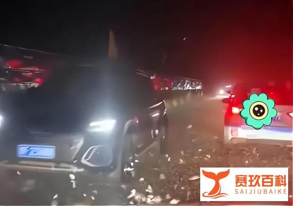 河南信阳一大桥夜晚出现不明飞虫引起公众猜测和热议