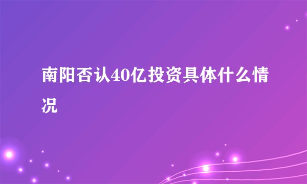 南阳否认40亿投资具体什么情况
