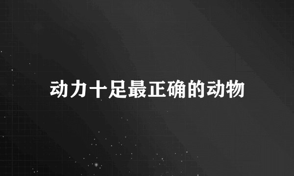 动力十足最正确的动物