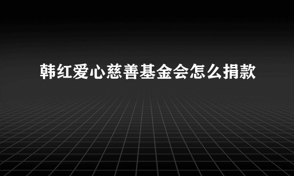 韩红爱心慈善基金会怎么捐款