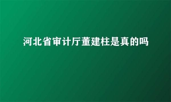 河北省审计厅董建柱是真的吗
