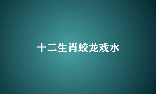 十二生肖蛟龙戏水