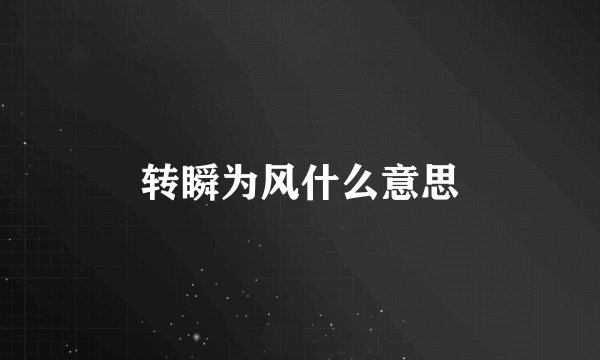 转瞬为风什么意思