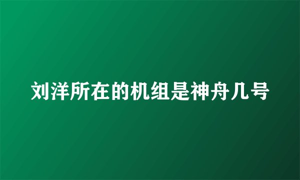 刘洋所在的机组是神舟几号