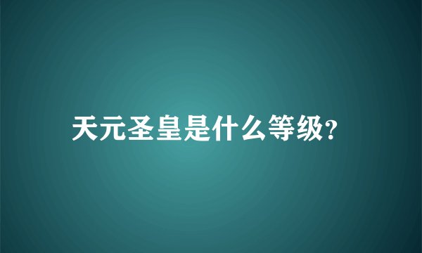 天元圣皇是什么等级？