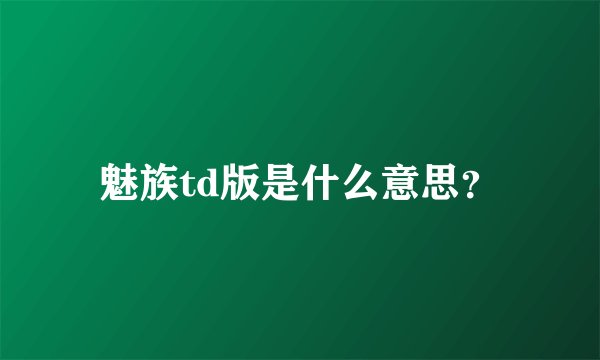 魅族td版是什么意思？