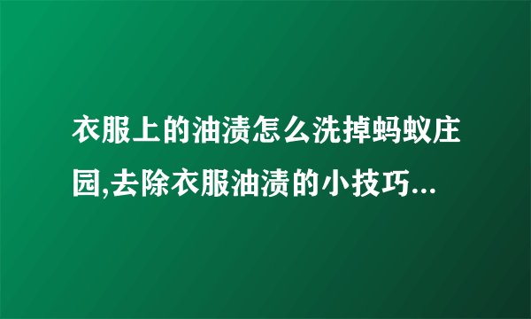 衣服上的油渍怎么洗掉蚂蚁庄园,去除衣服油渍的小技巧 - 蚂蚁庄园