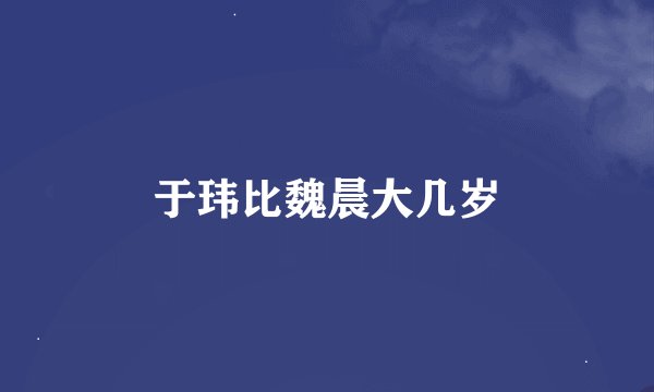 于玮比魏晨大几岁
