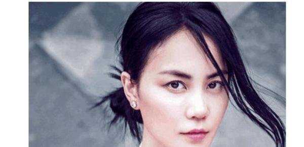 李亚鹏和许晴公布恋情, 王菲放话不能娶她, 网友: 你算老几