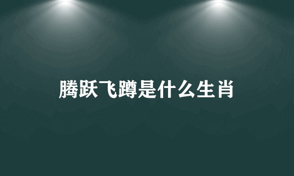 腾跃飞蹲是什么生肖