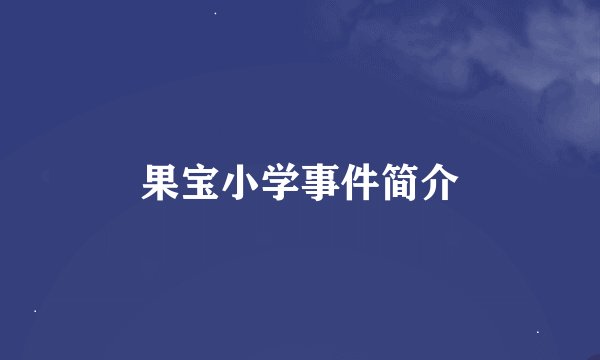 果宝小学事件简介