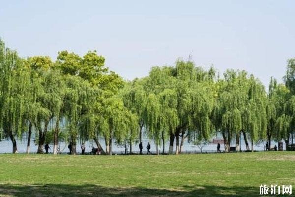 五一假期不能离开本市 为什么-哪些人不能离开